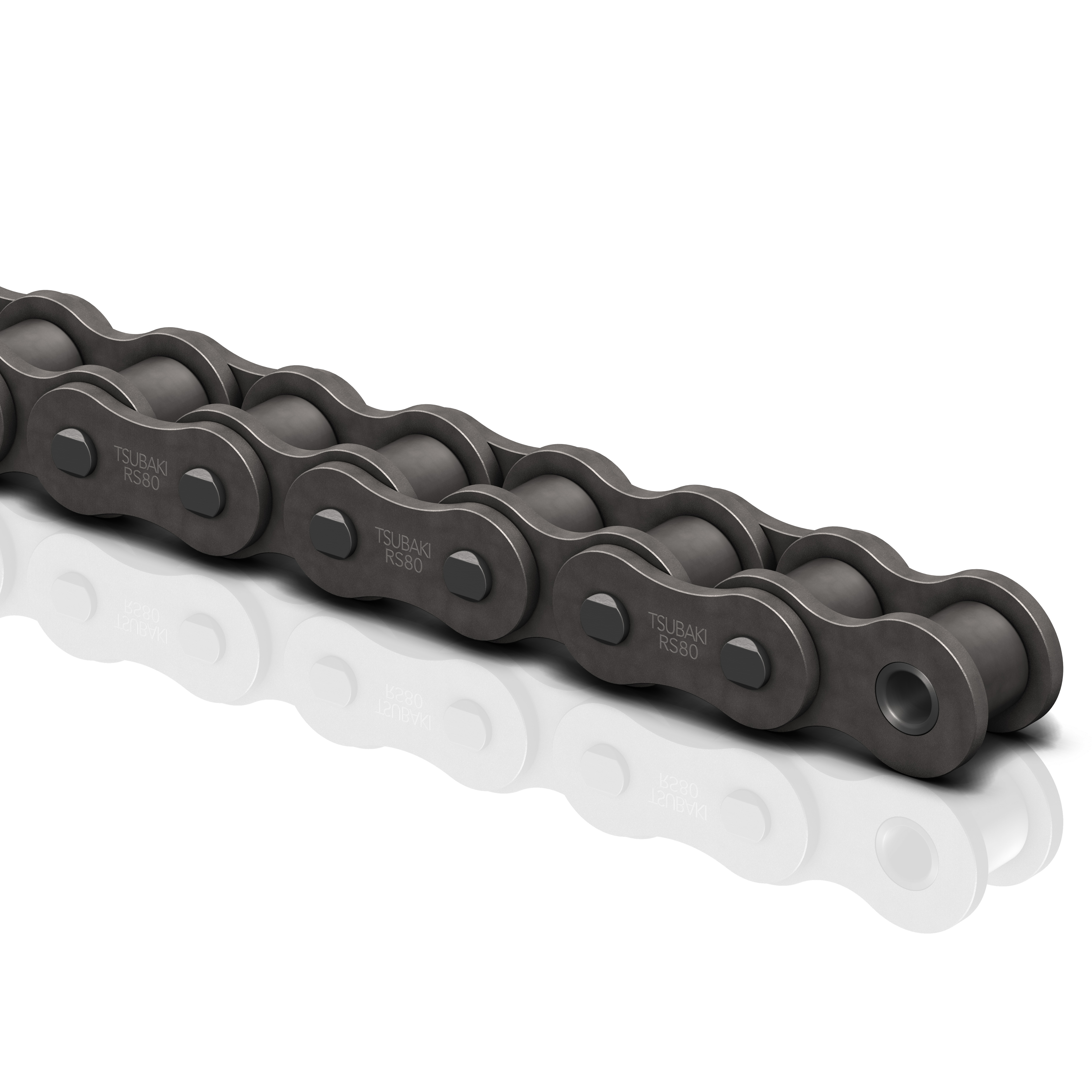 Standard Roller Chain