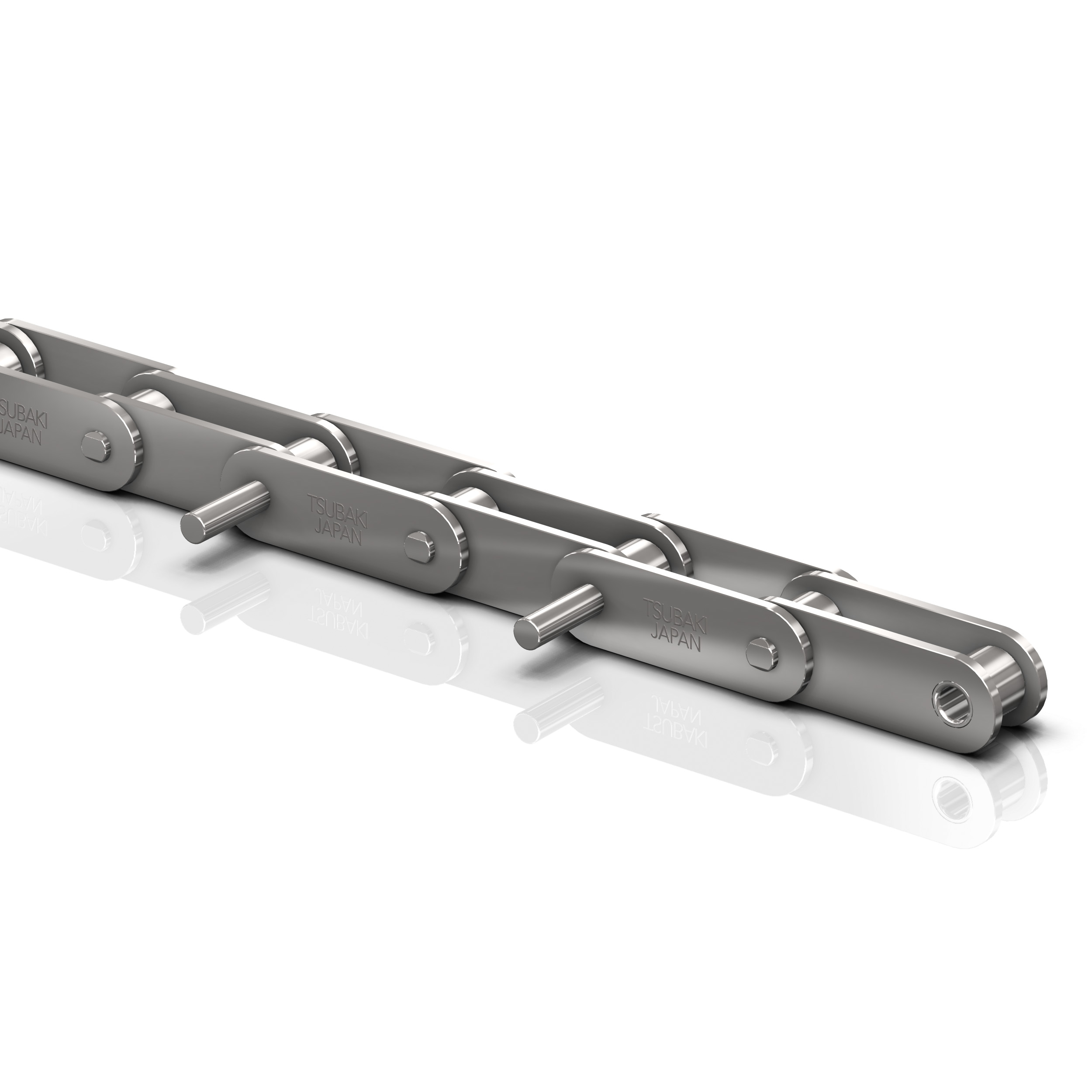 Roller chain Tsubaki RF2040-S SS RP 2LD1 - ANSI Double Pitch SS