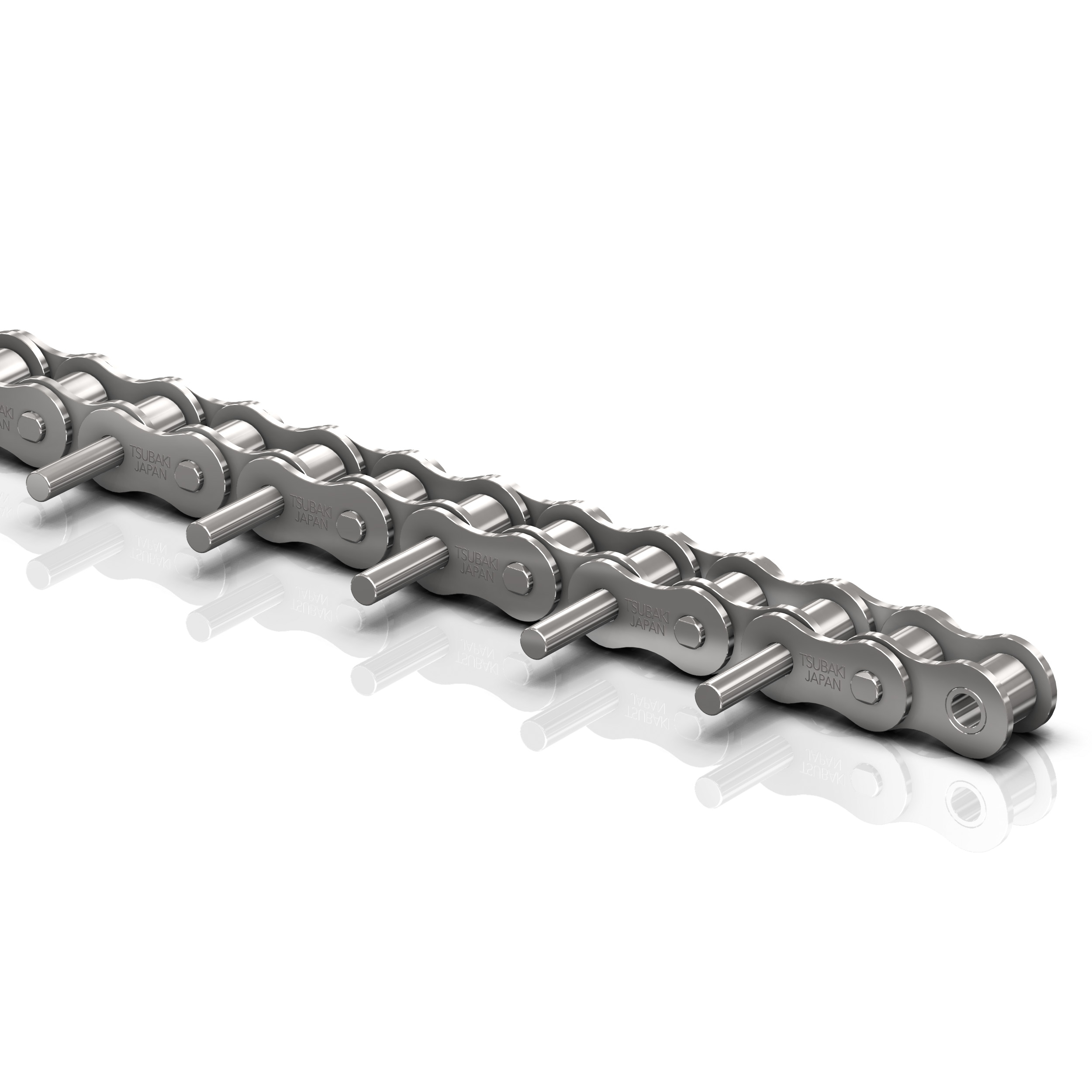 Roller chain Tsubaki RS16B SS 1 RP 2L D1 - BS Single Pitch SS
